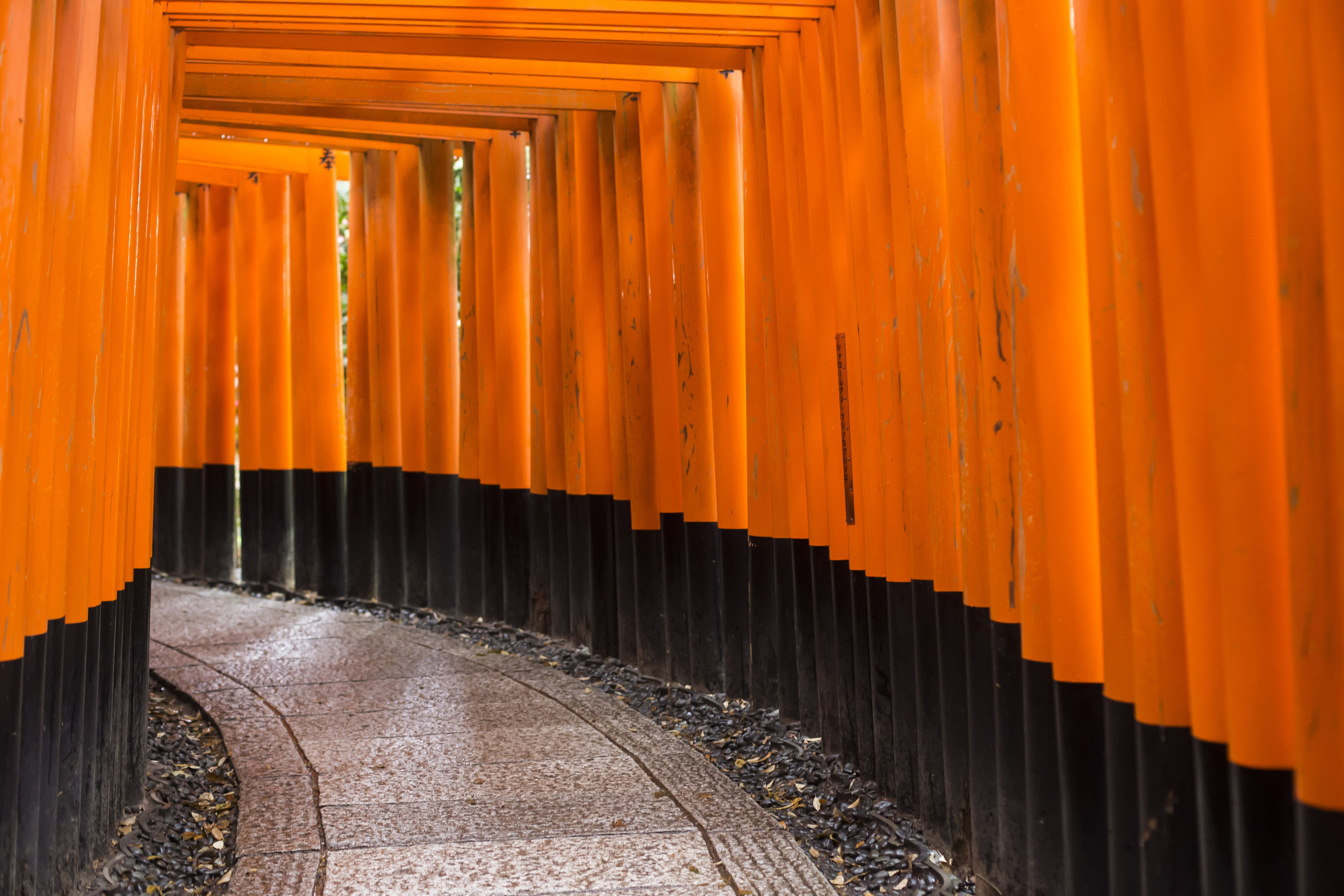 SAKURA, SPRING, AND SUNRISE: 12 DAYS IN JAPAN