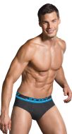 BOLD BRIEF