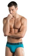 Brief