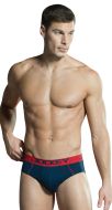 Bold Brief
