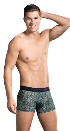 PRINTED TRUNK