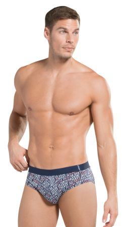 Brief